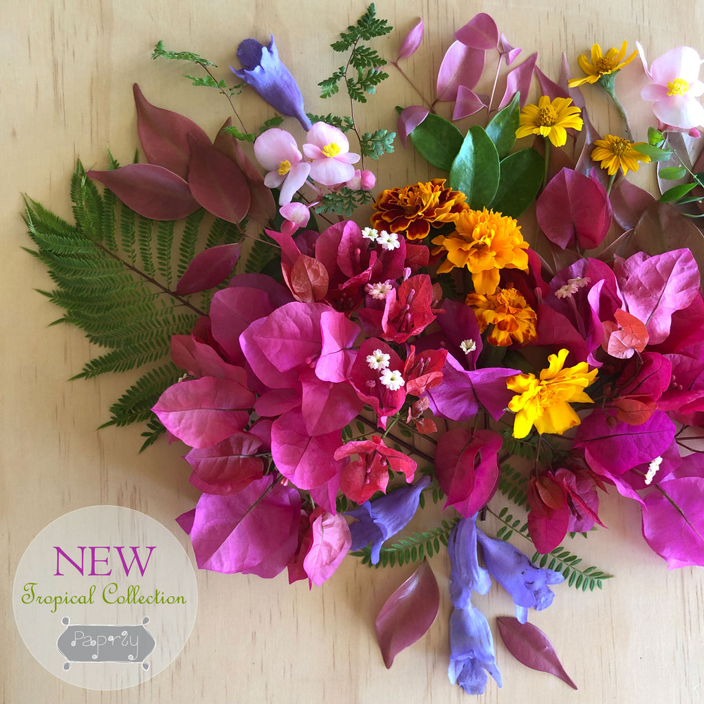 New Tropical Collection!