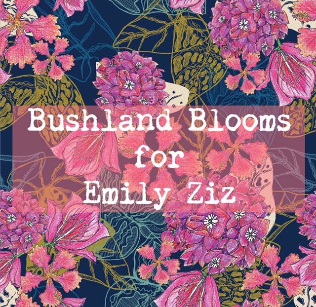 New exciting collaboration with Emily Ziz!