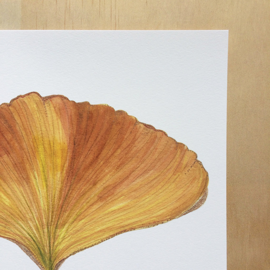 Ginkgo Leaf Art Print A4