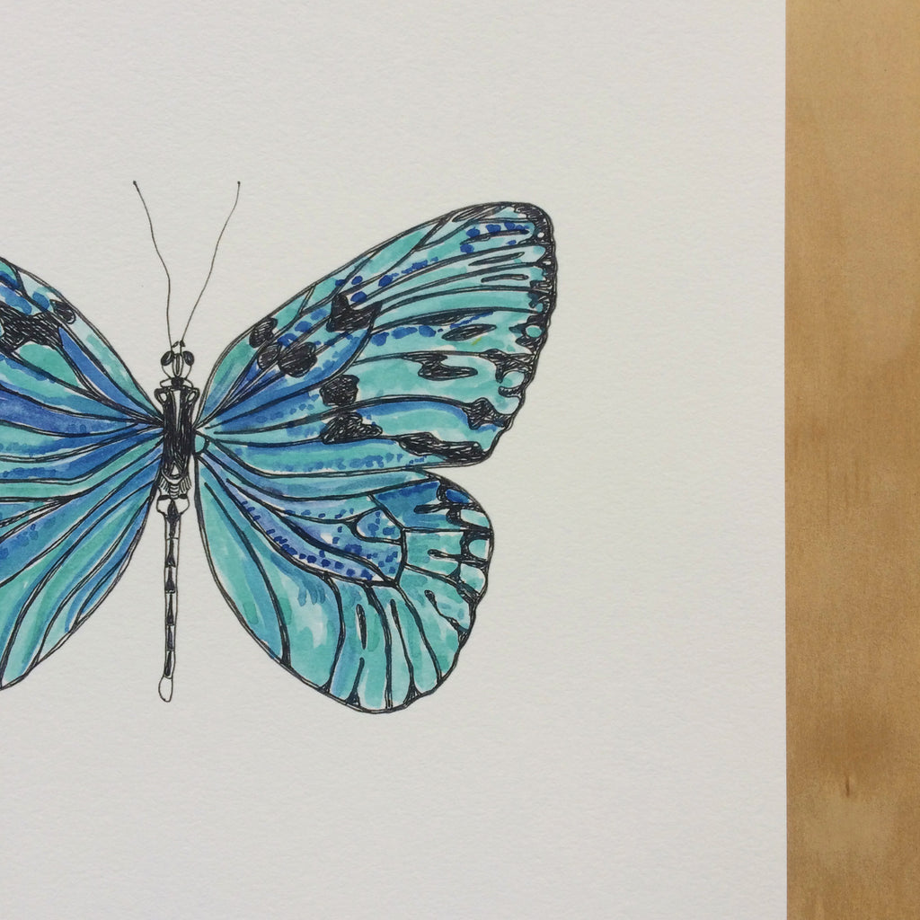 Butterfly Blues Nature Print A4