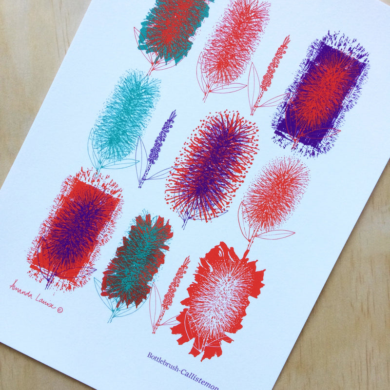 Botanical Bottlebrush Print A4