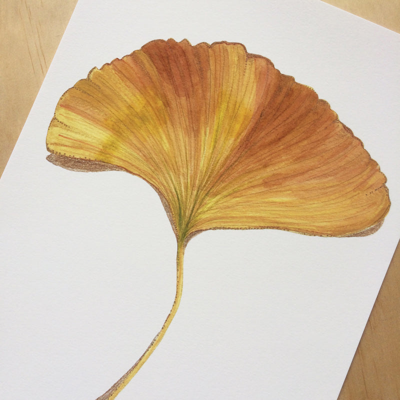 Ginkgo Leaf Art Print A4