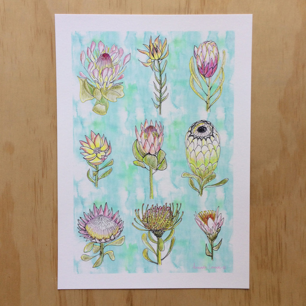 Protea Nature Print A4