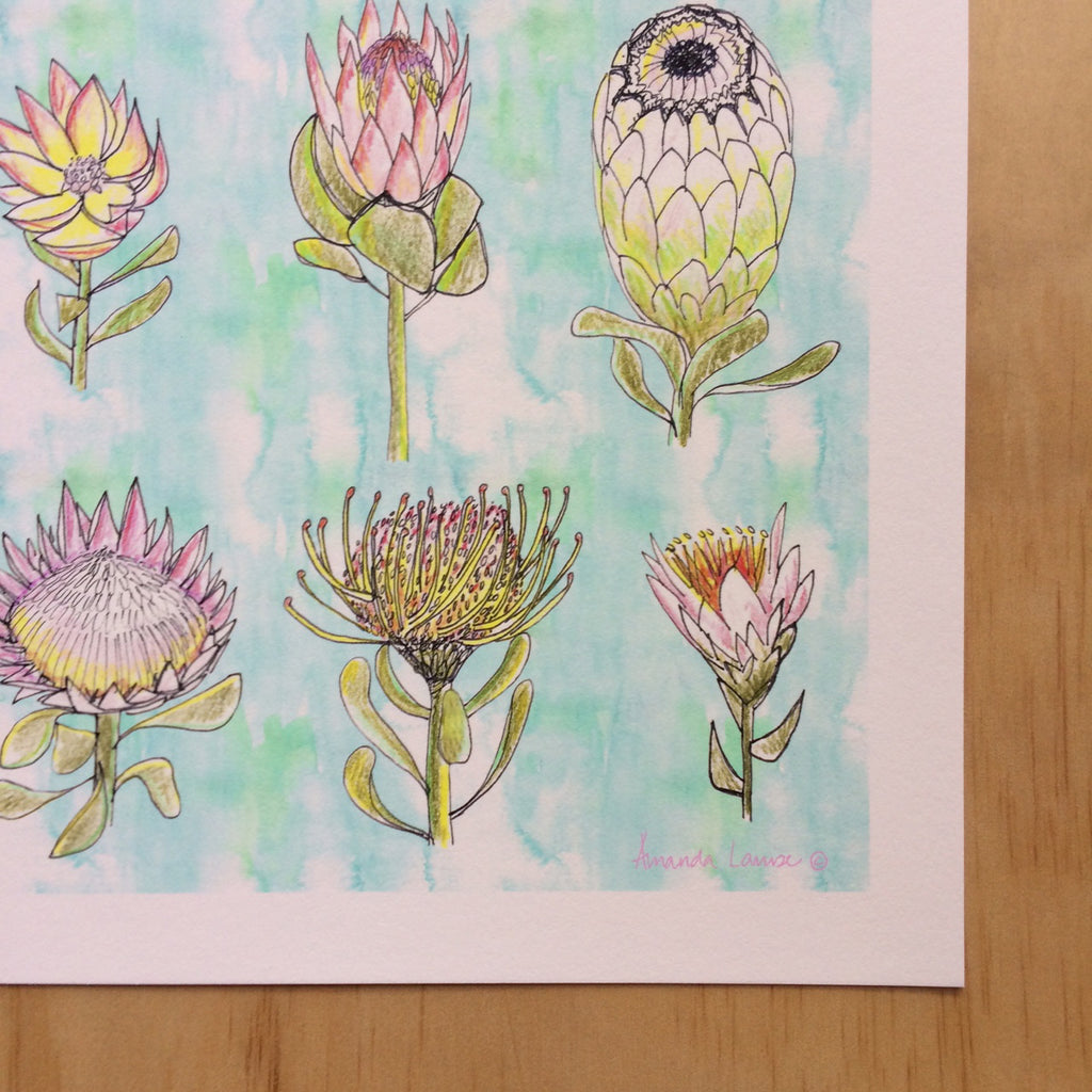 Protea Nature Print A4