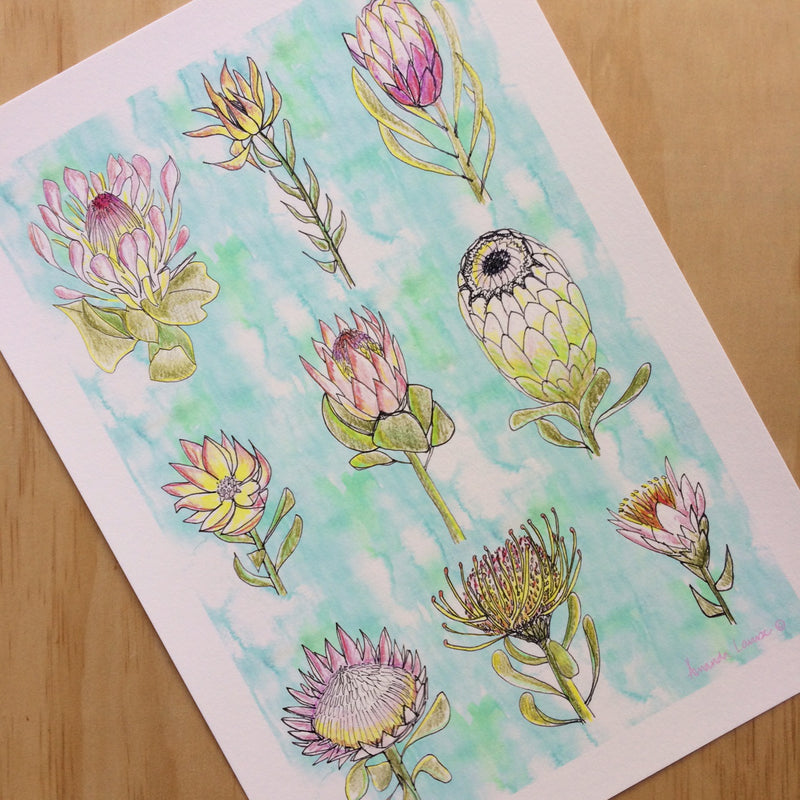 Protea Nature Print A4