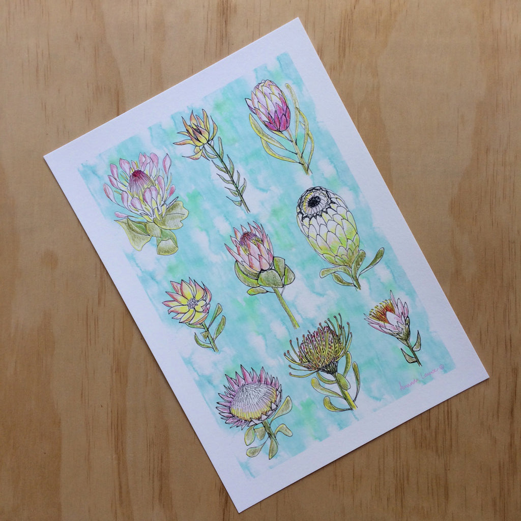 Protea Nature Print A4