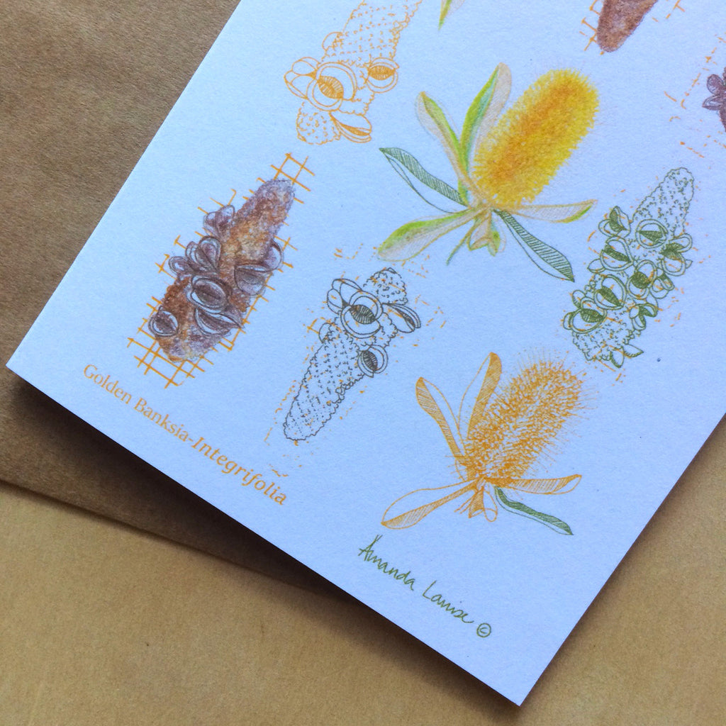 Golden Banksia Greeting Card