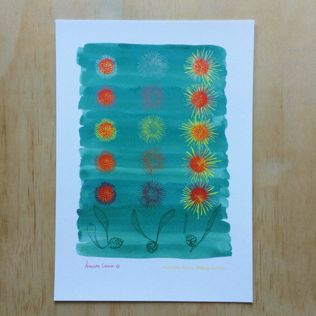 Hakea Fireworks Flower Print A4