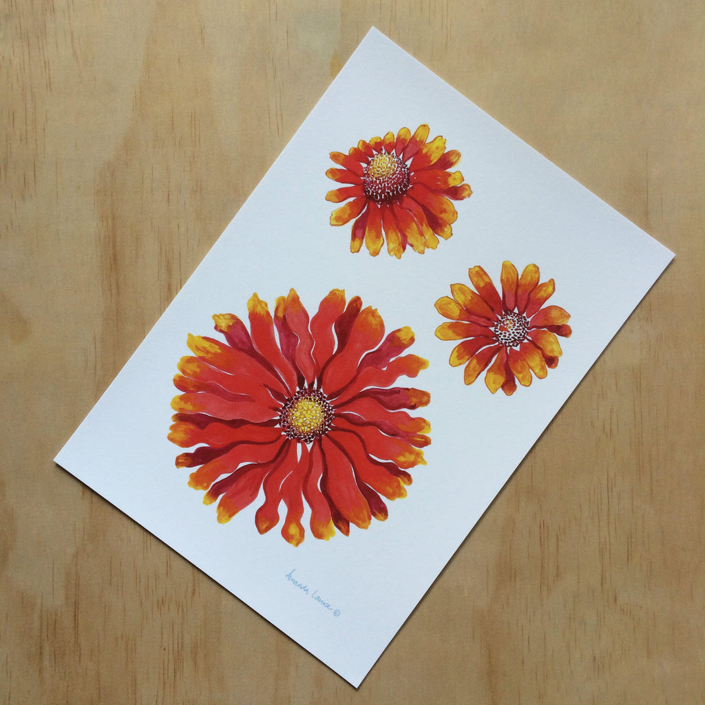 Blanket Flower Nature Print A4