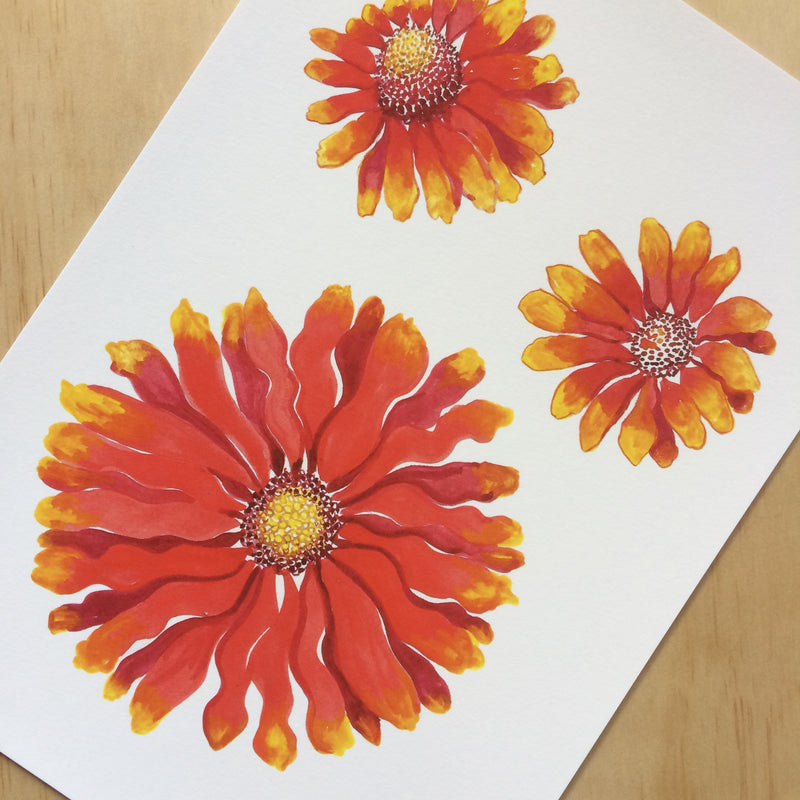 Blanket Flower Nature Print A4