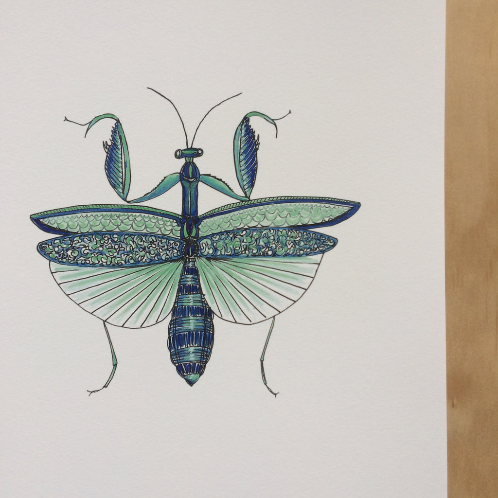 Mantis Nature Print A4