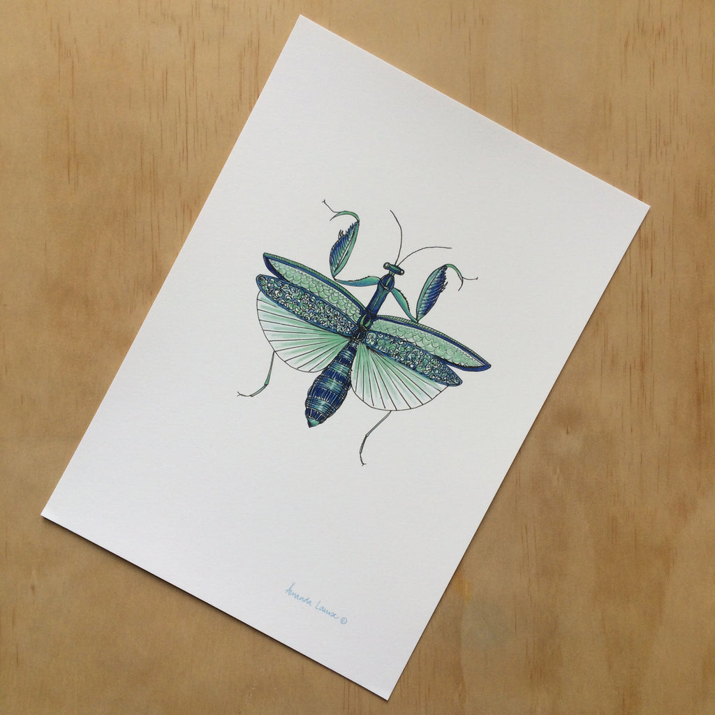 Mantis Nature Print A4