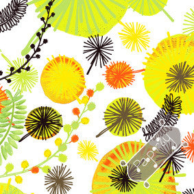 Wattle Gift Wrapping Paper