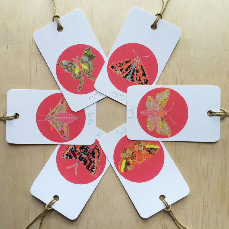 Winter Moth Pink 6 Gift Tags