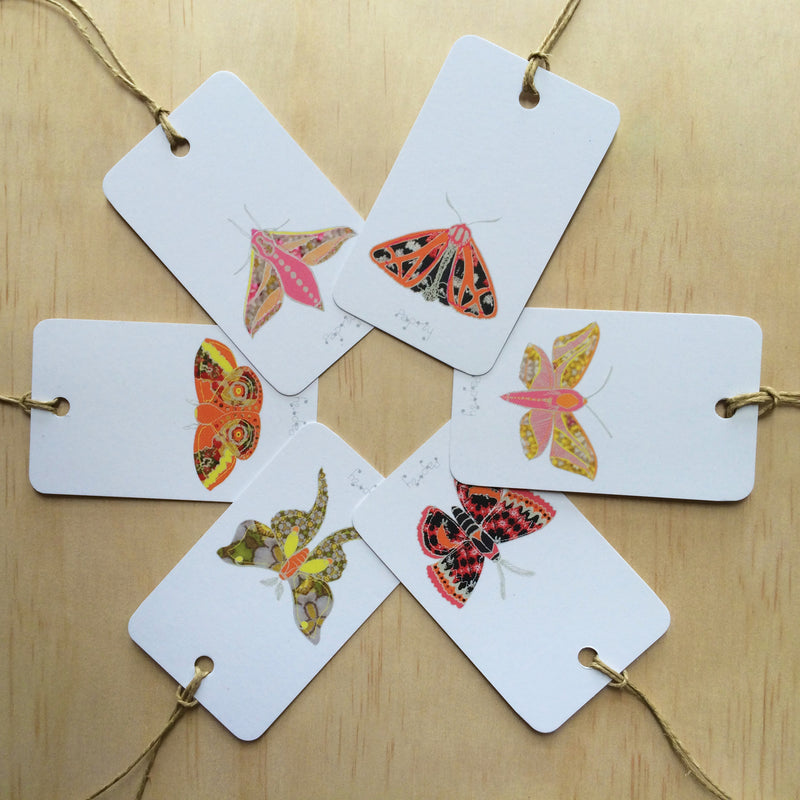 Winter Moth 6 Gift Tags
