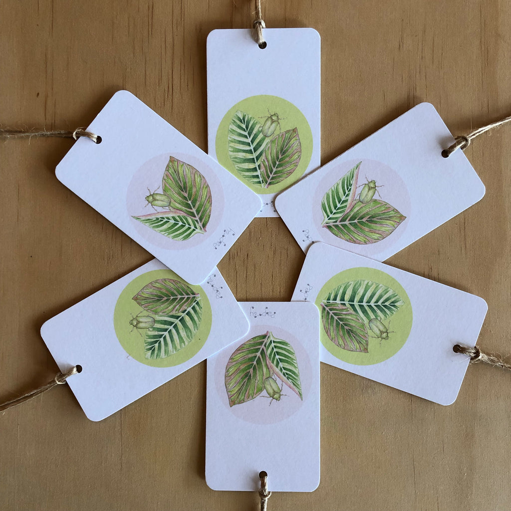 Tropical Beetle 6 Gift Tags