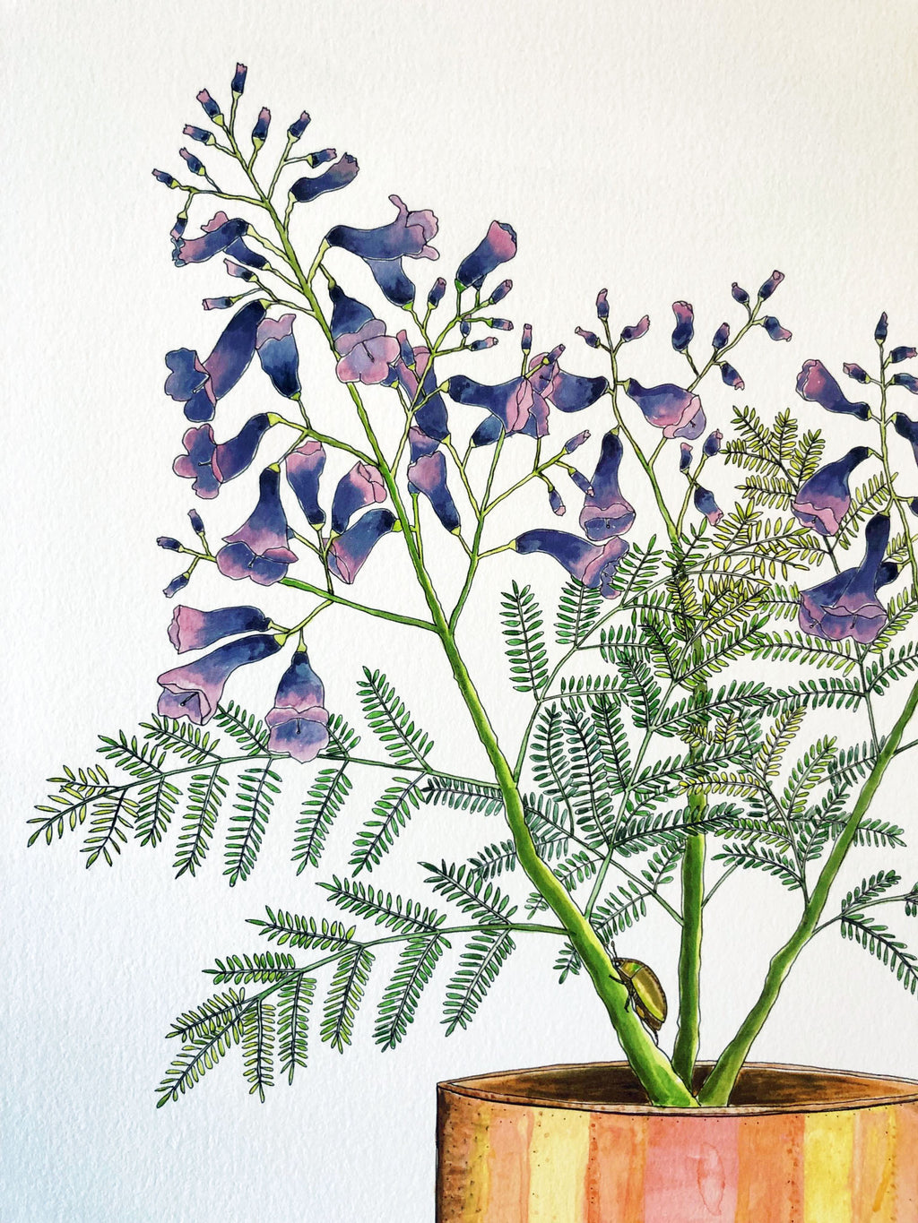 Jacaranda Jar Art Print