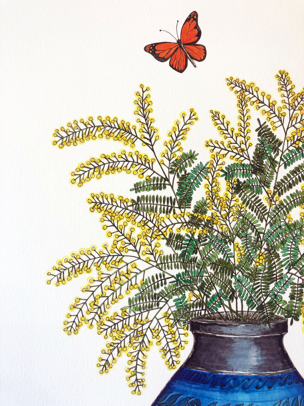 New! Wattle Bottle Print